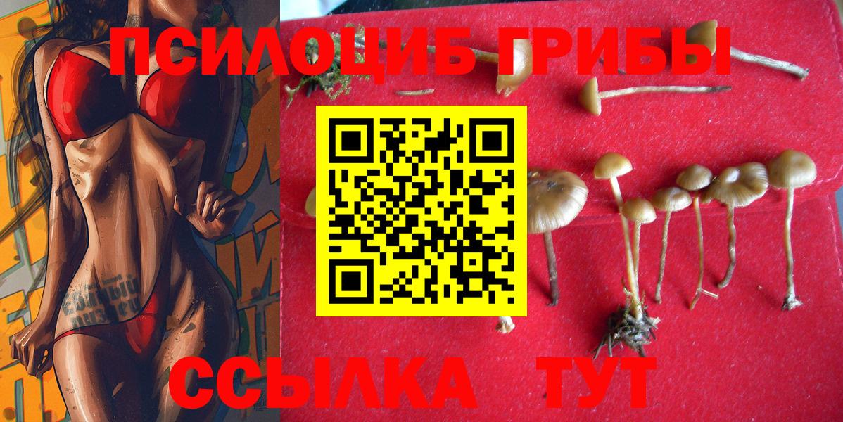 Кумертау  купить закладку  Вход с VPN  Галлюциногенные грибы мицелий 