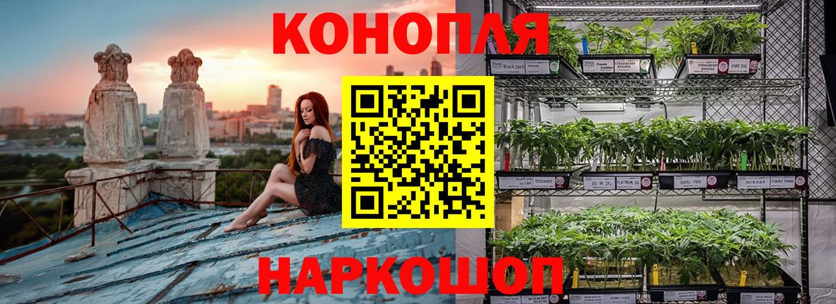 Шишки марихуана ГИДРОПОН  Каннабис конопля  Кумертау  Вход с VPN 